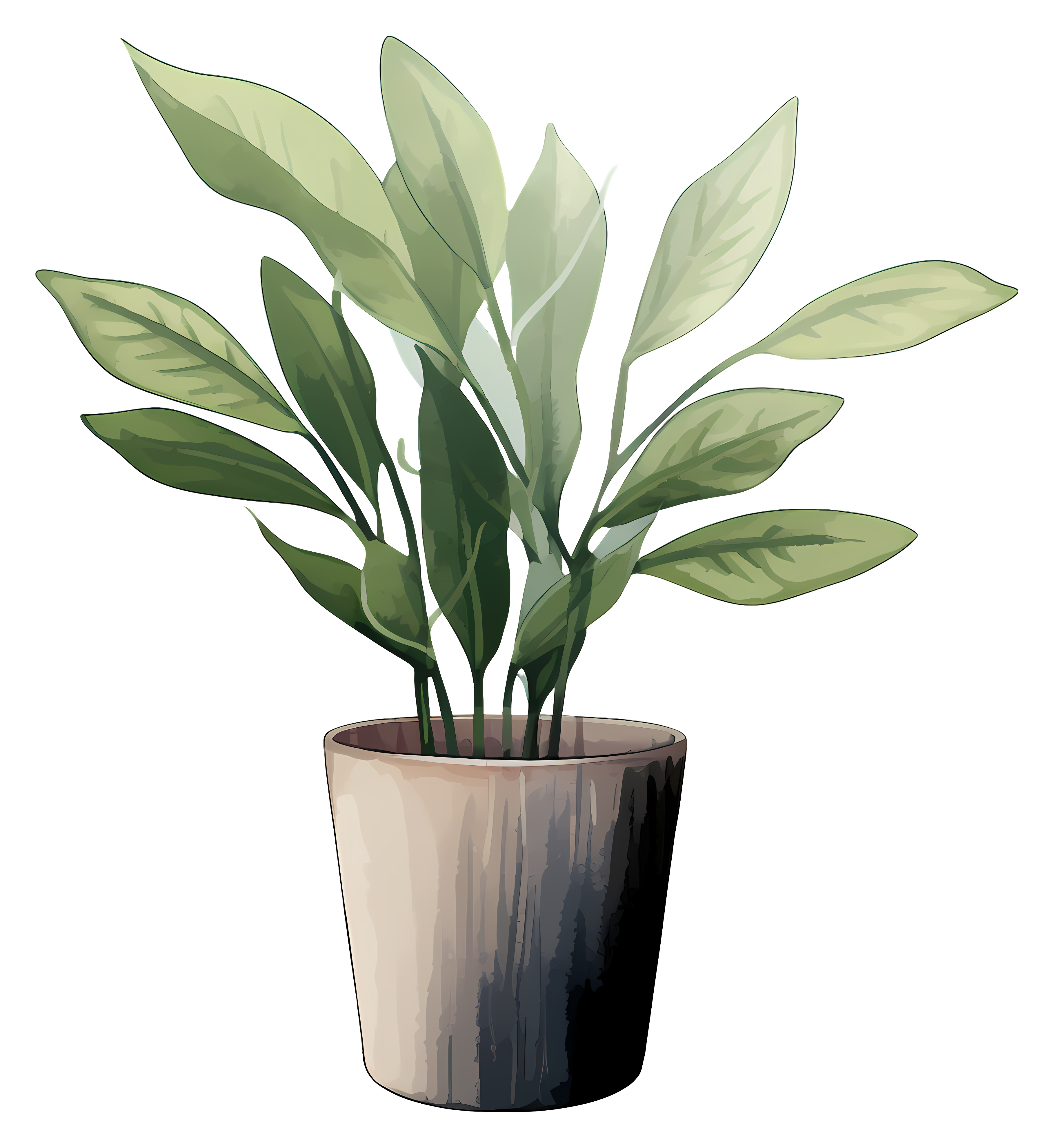 plant